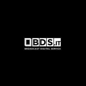 BDS_logo_partner
