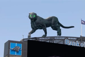 Carolina Panthers