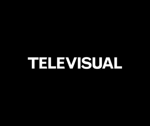 TELEVISUAL LOGO